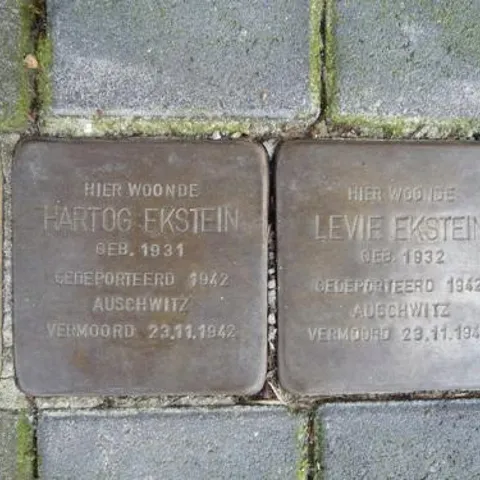 Foto 5 von 5