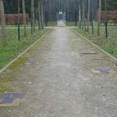 Foto 5 von 9